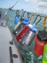 Water Bottles, Florida Keys