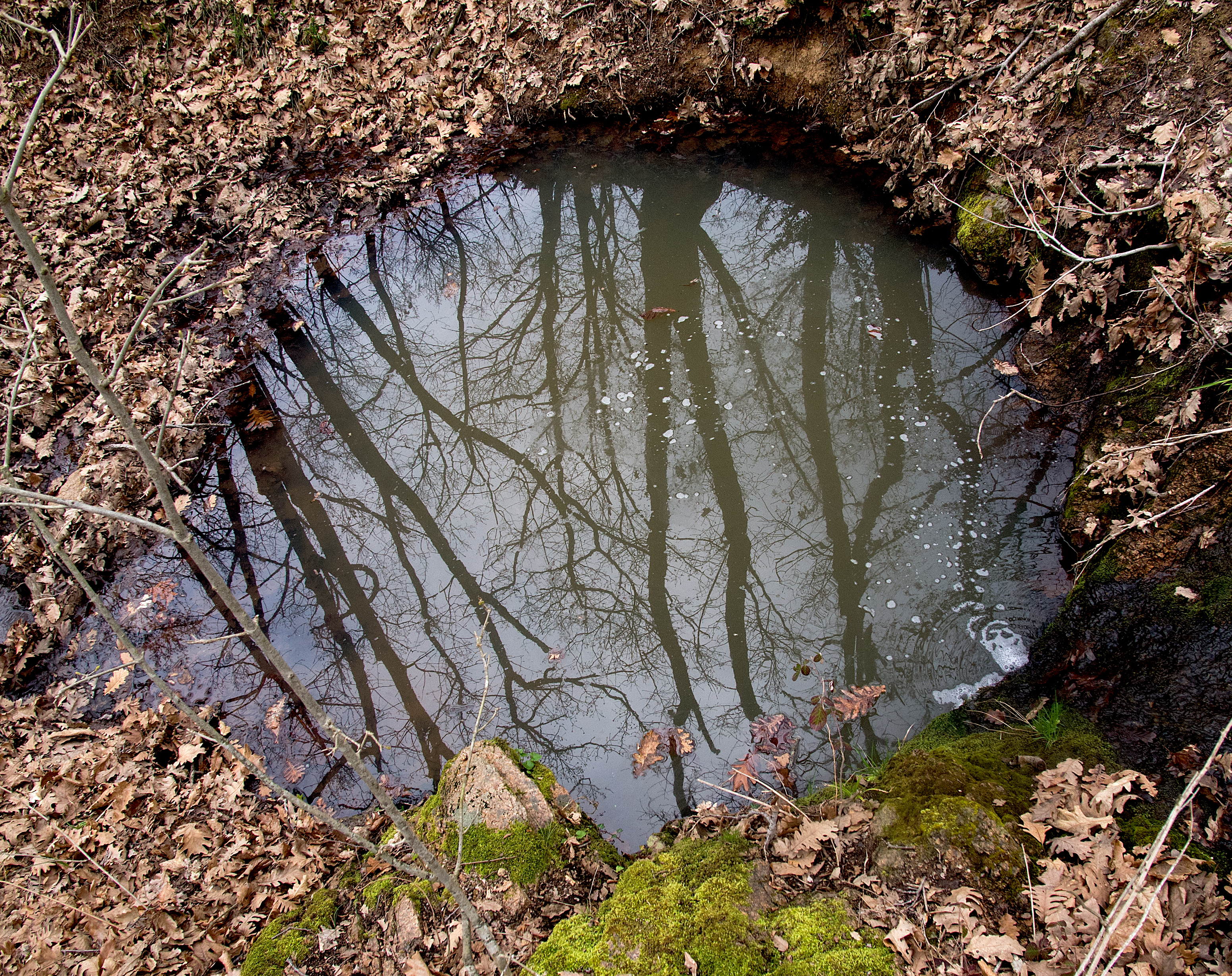 America's Forgotten Waters