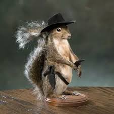 cowboy squirrel