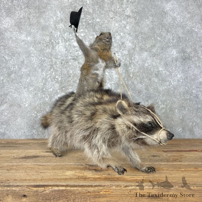 cowyboy squirrel riding a raccoon