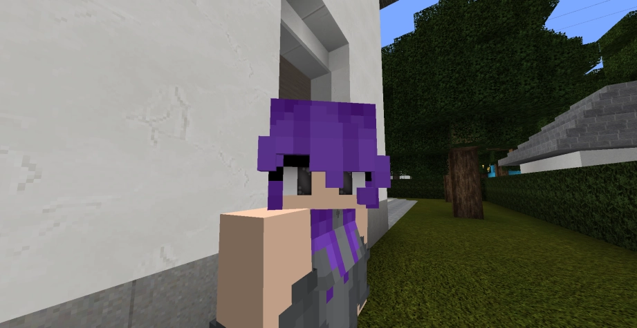 A image of a Minecraft HD skin in Minecraft