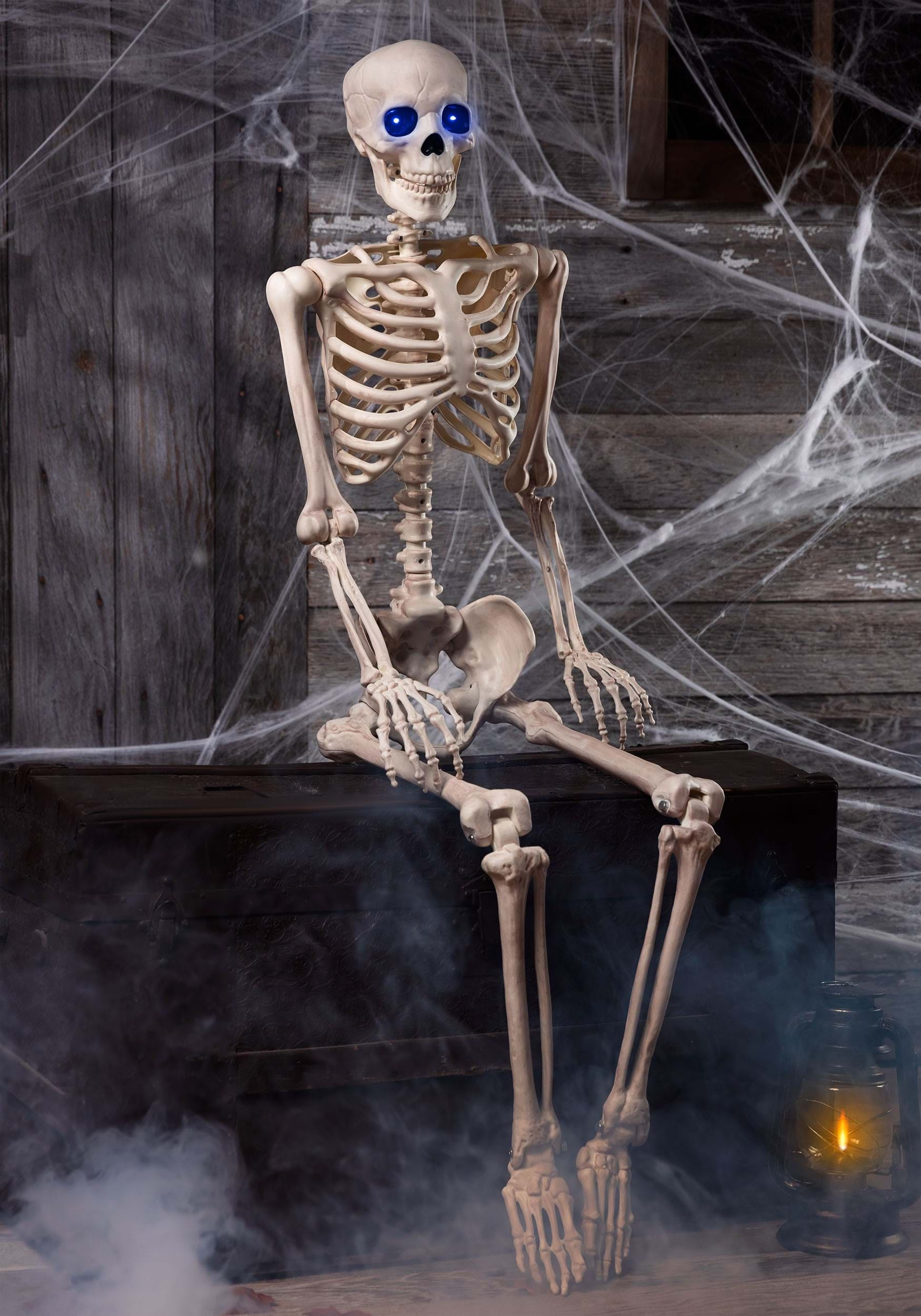 Skeleton sitting