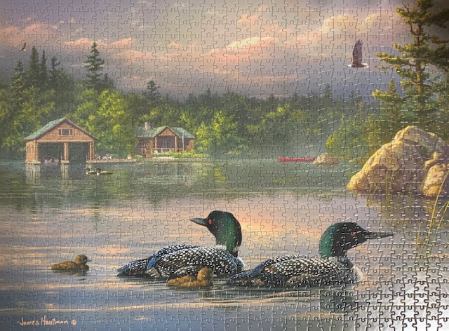 Completed puzzle of a landscape with loons