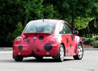 This is a ladybug car eyelash.