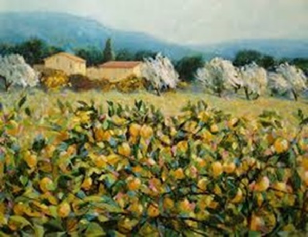 lemon trees