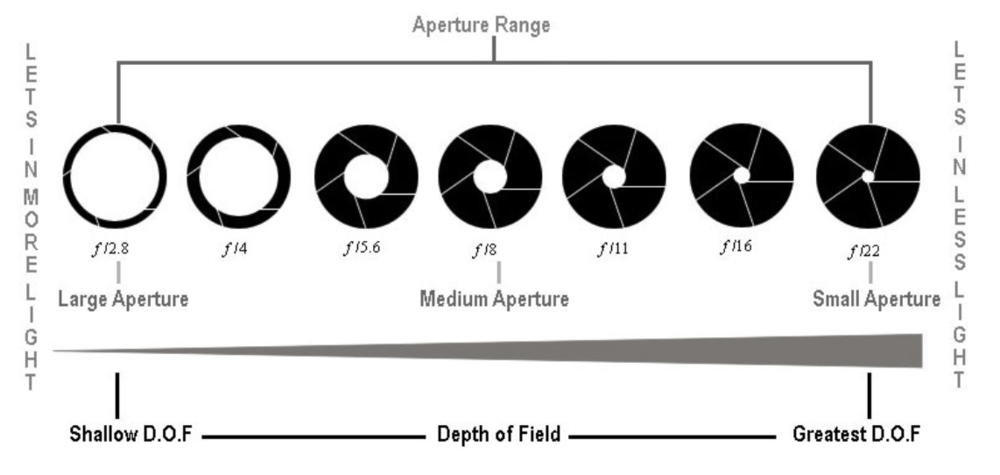 an image showing the how big the shutter is in a large aperature and how that affects the depth of field