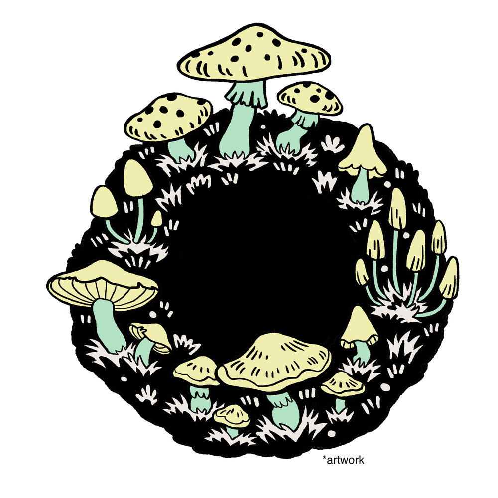 a ring of mushrooms found in the wild commonly known as a faerie ring