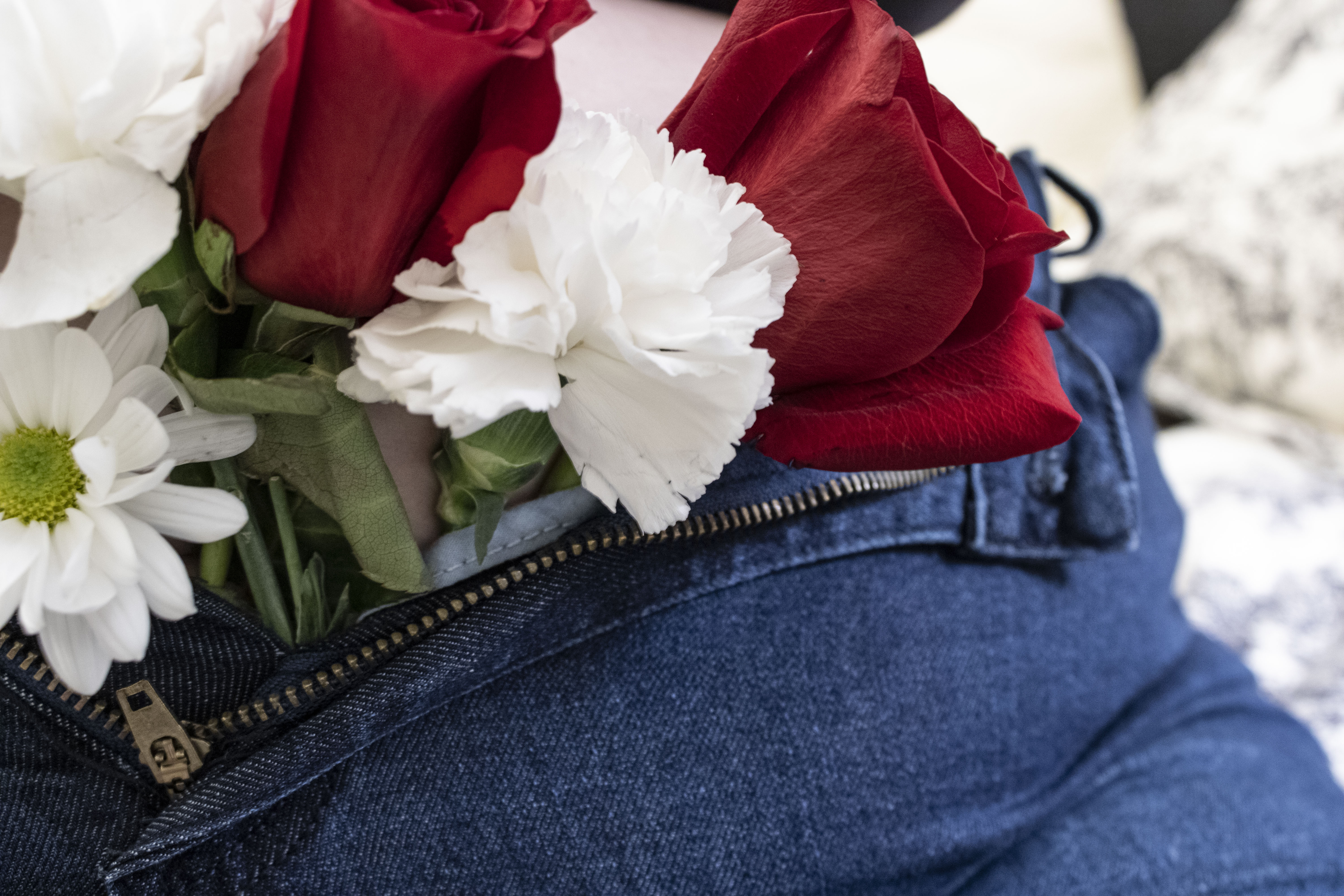 white carnations and red roses in the zipper of denim jeans on a plus sized girl