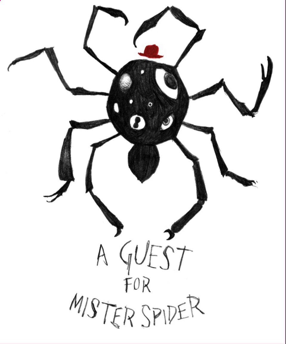 A Guest for Mr Spider