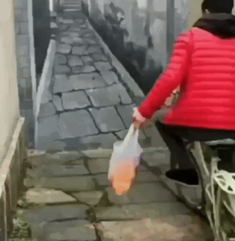 guy rides bike into fake wall