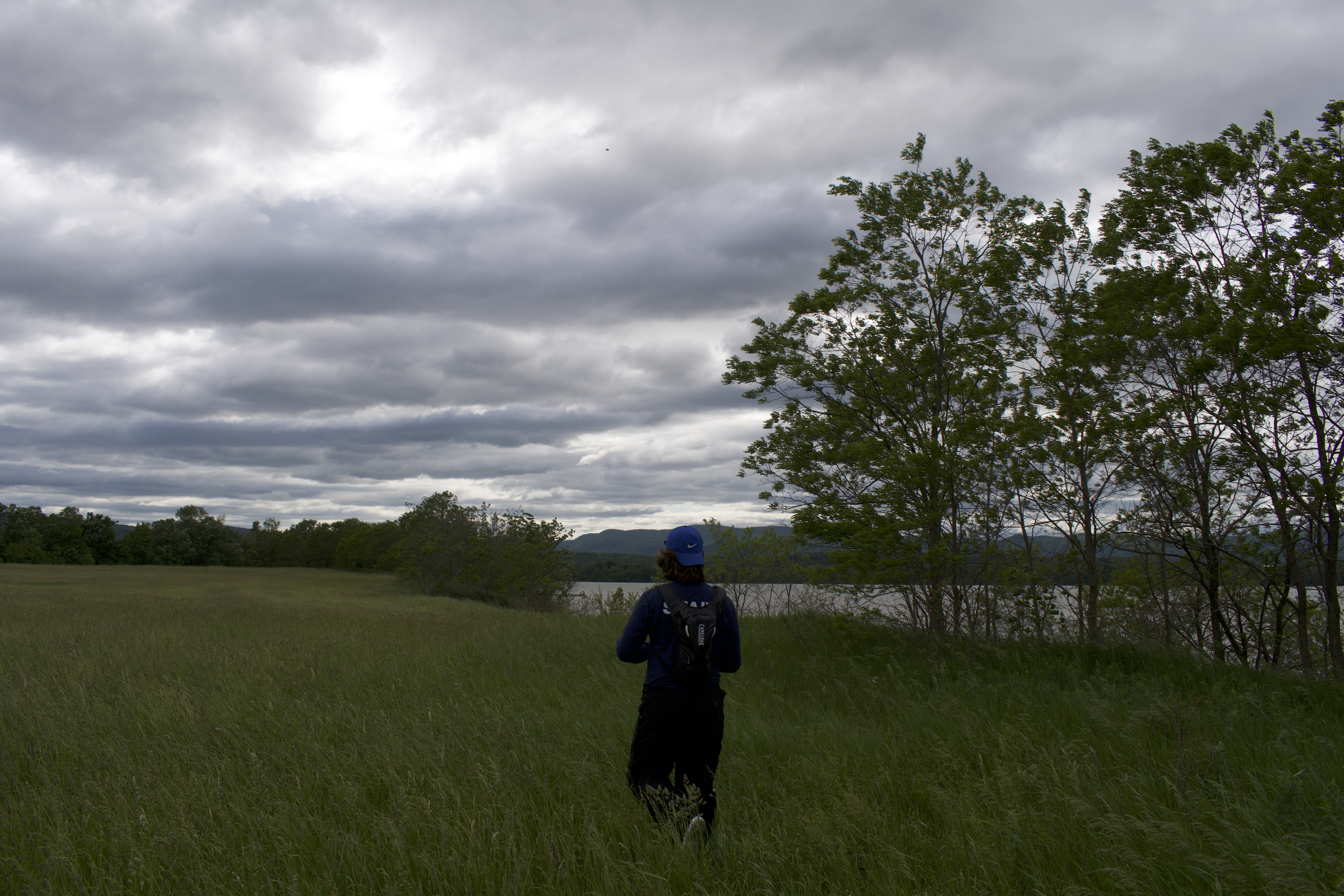 Paedar Walking in VT Picture