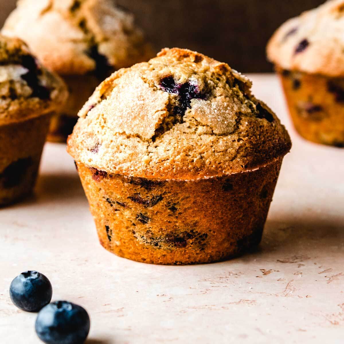 blueberry muffin