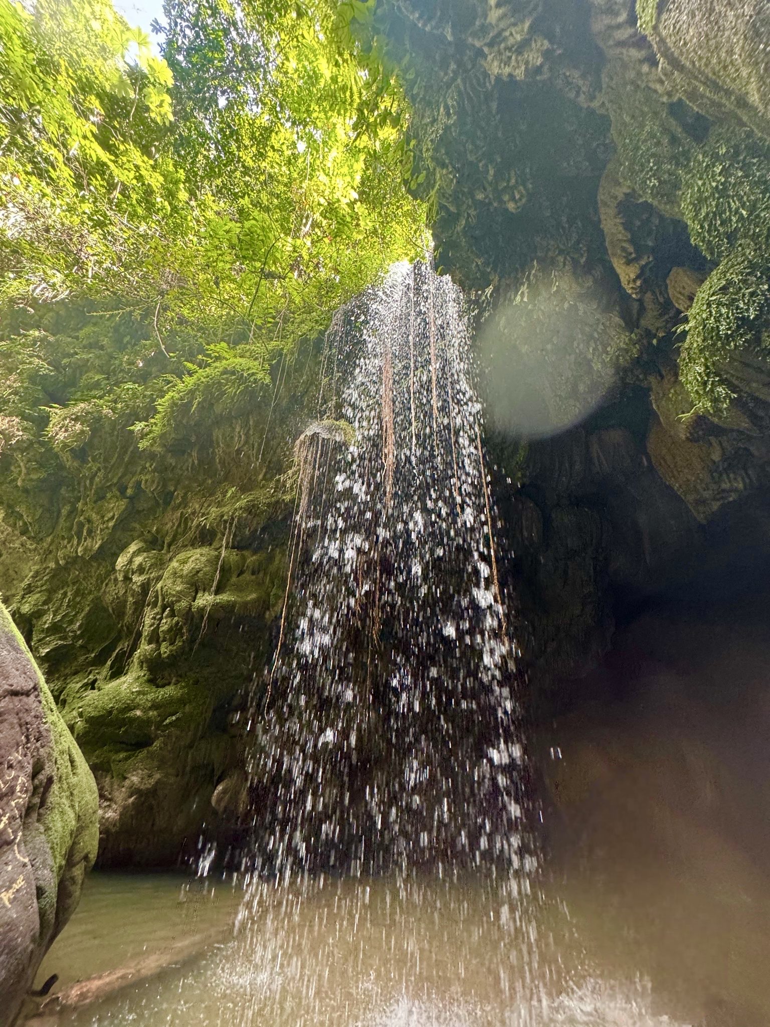 A waterfall in the jungle.