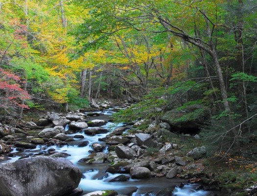 Stony Brook