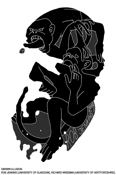 darwin optical illusion