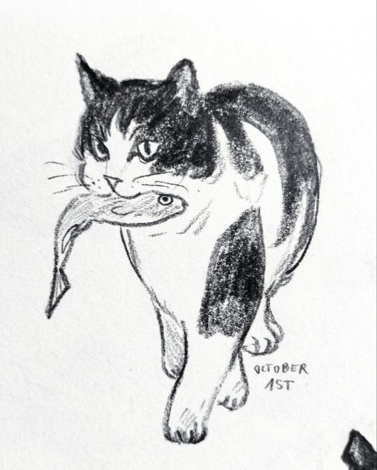 image of a cat with fish