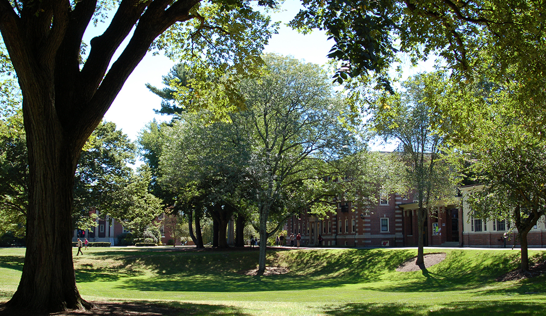 field in the center of campus known as the dimple