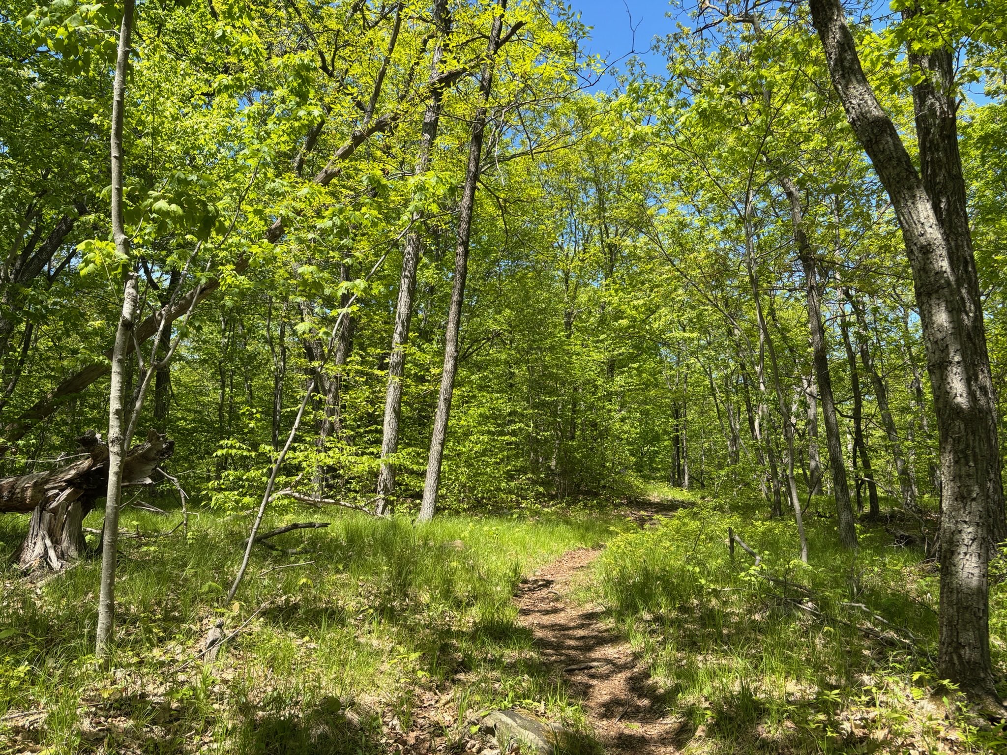 Sleeping Giant Photo